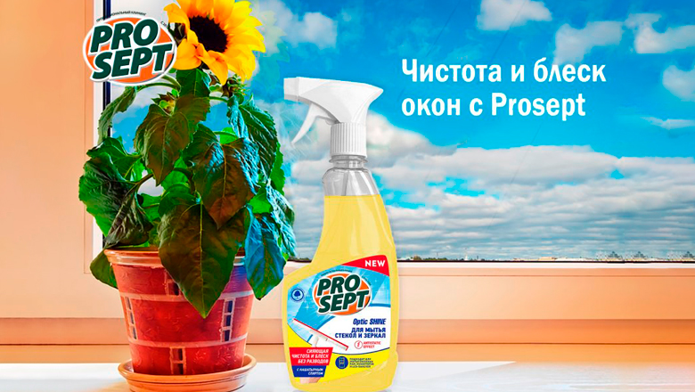 Чистые окна – светлый мир Чистые окна – светлый мир