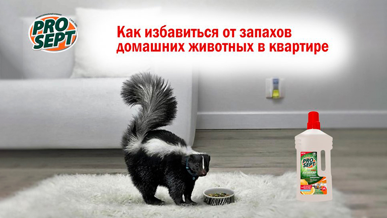 Как избавиться от запахов домашних животных в квартире Как избавиться от запахов домашних животных в квартире